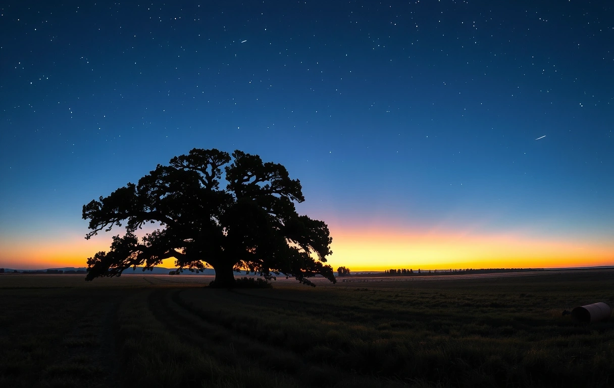 A long-term perspective